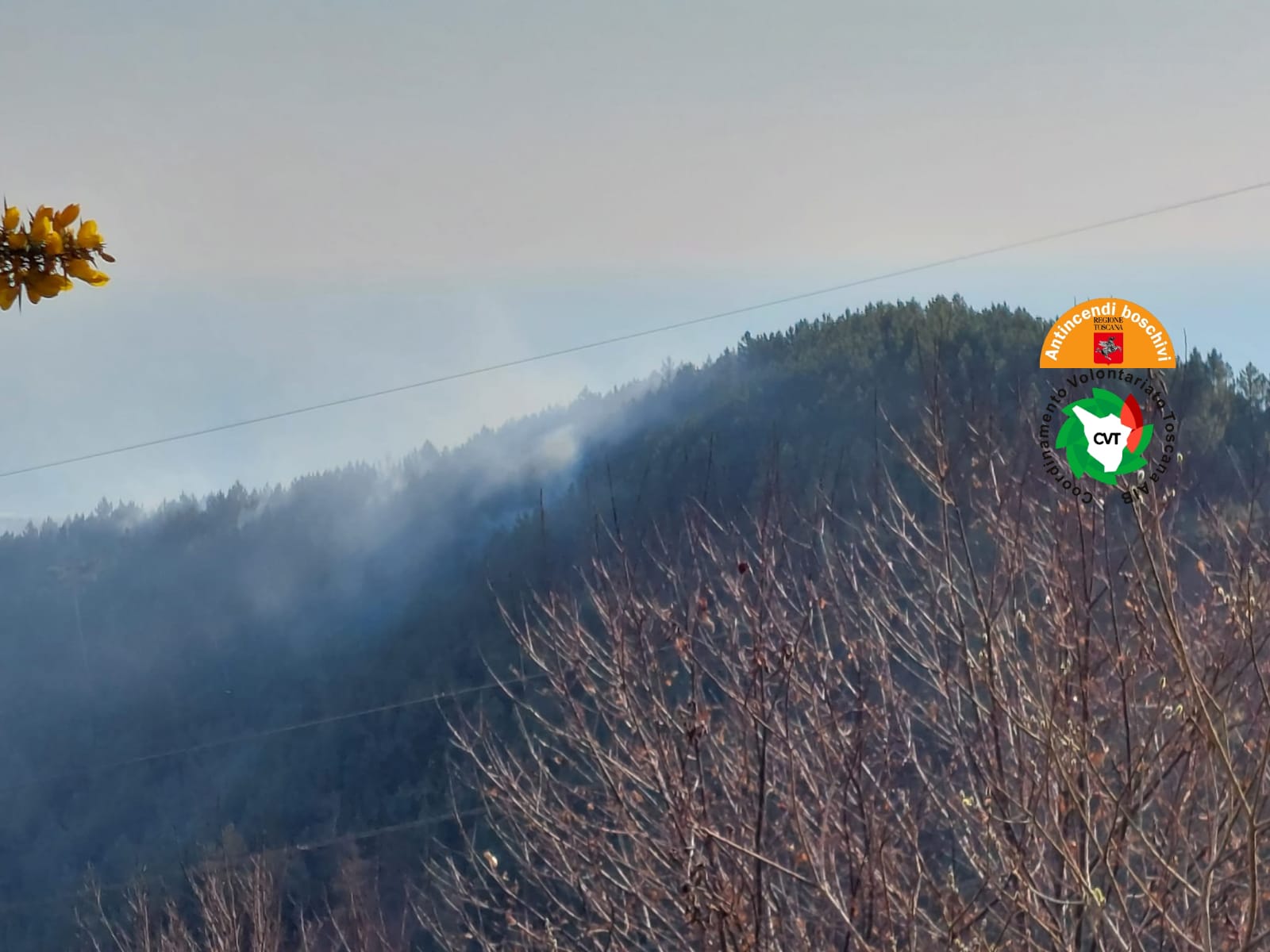 Immagine Incendio a Montignoso, arrivati due canadair che stanno contenendo le fiamme